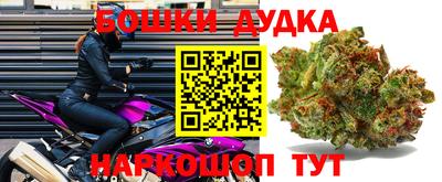 крисы Гусев