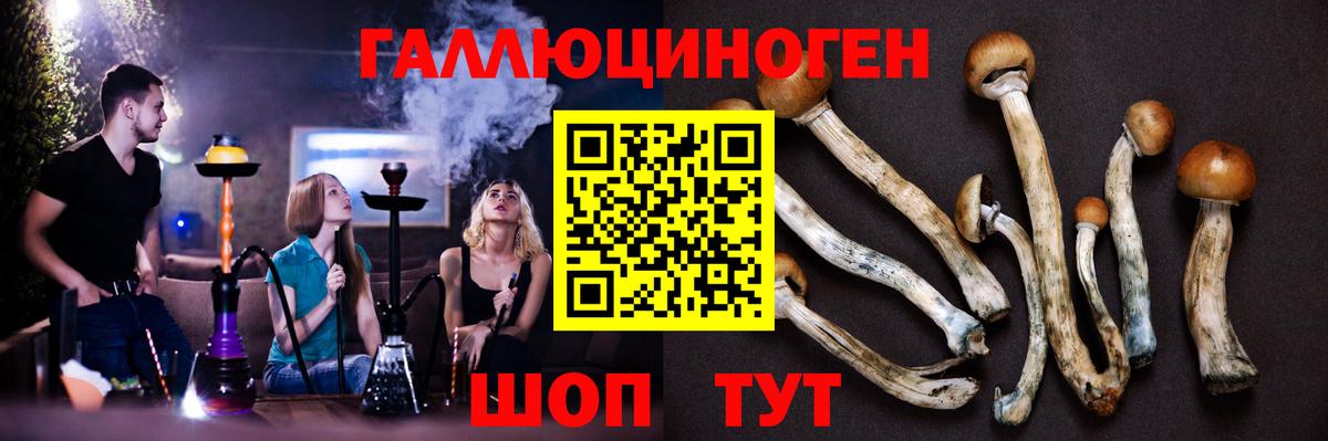 Галлюциногенные грибы Psilocybine cubensis  Вход с VPN  купить  сайты  Пугачёв  Галлюциногенные грибы Cubensis 